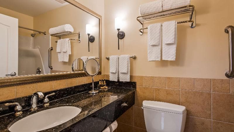 Best Western Plus Vineyard Inn & Suites 4