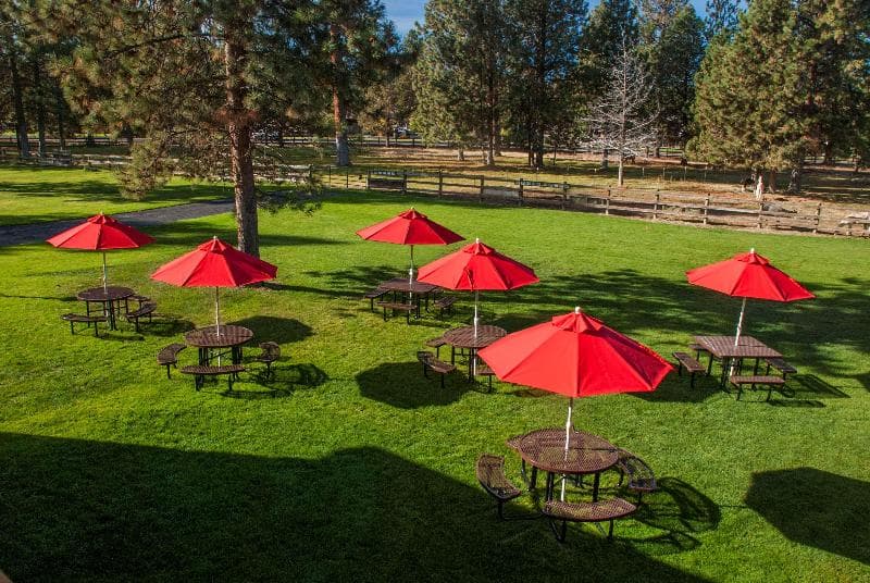 Best Western Ponderosa Lodge 2