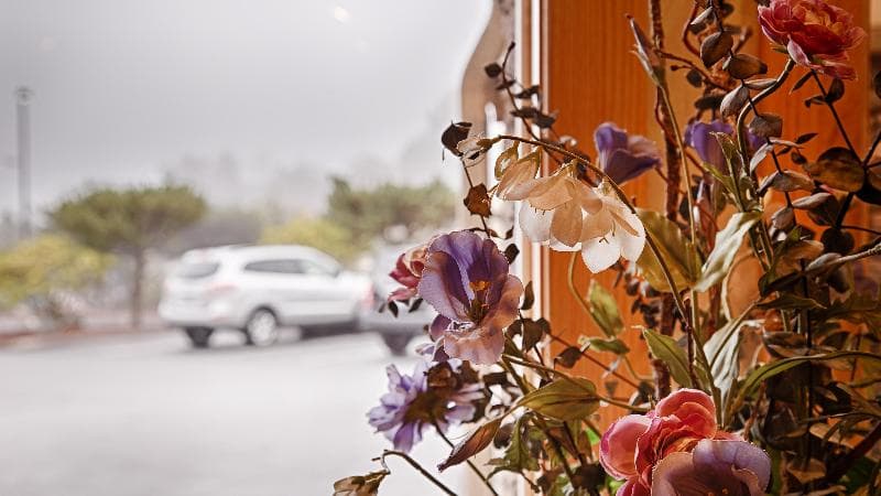 Best Western Plus Landmark Inn photo 1