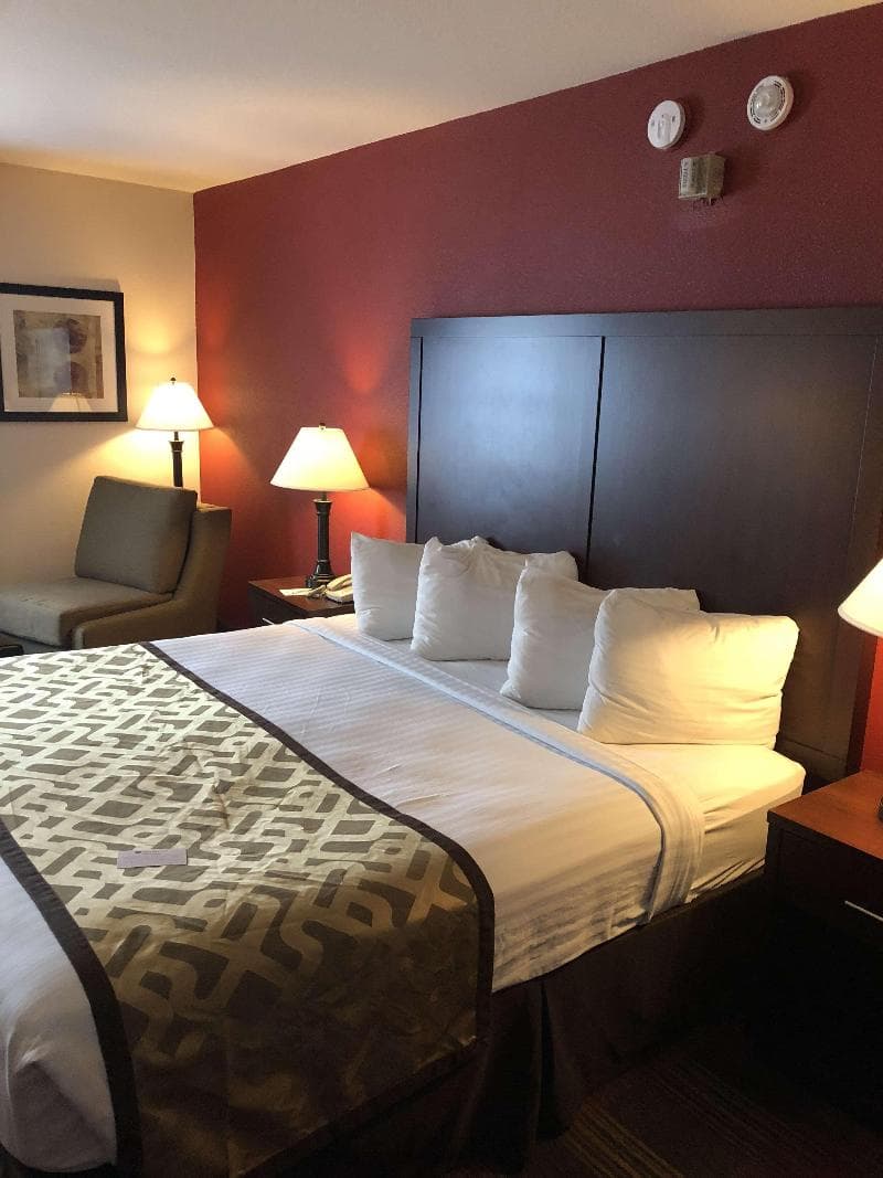 Best Western Dallas Inn & Suites 4