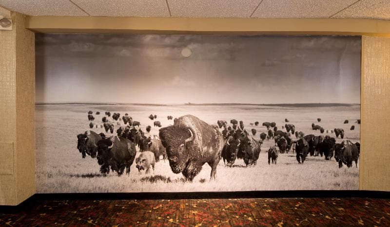 Best Western Ramkota Hotel 5