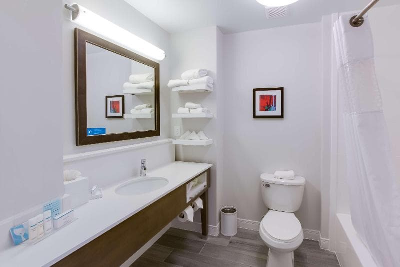 Hampton Inn White House 5