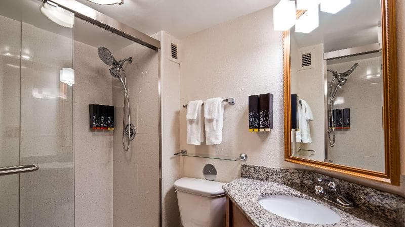 Best Western Plus Richmond Airport Hotel 4