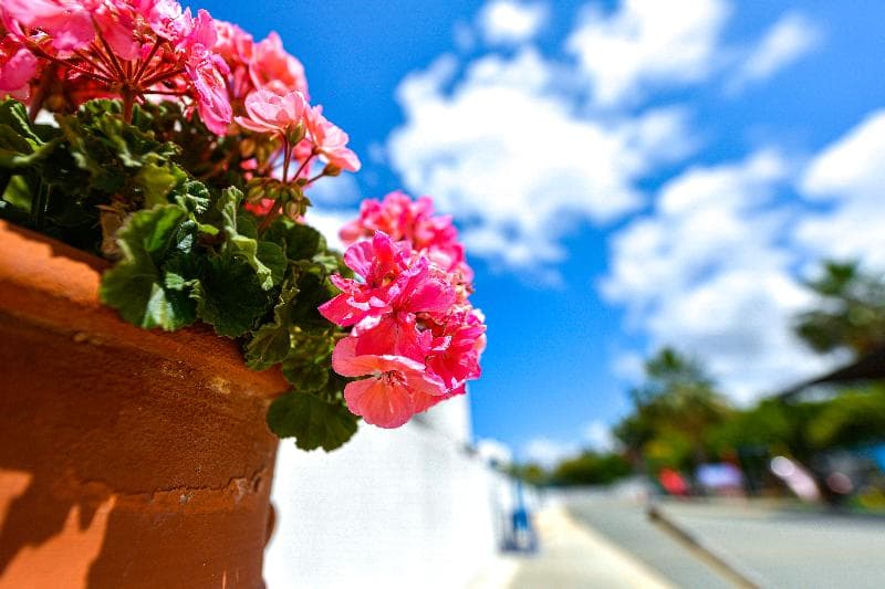 Azzurro Luxury Holiday Villas 5