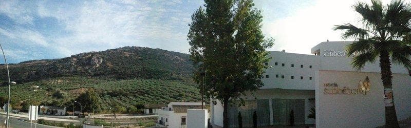 Mencía Subbética 4