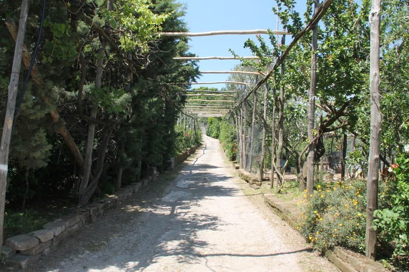 Agriturismo Piccolo Paradiso 2