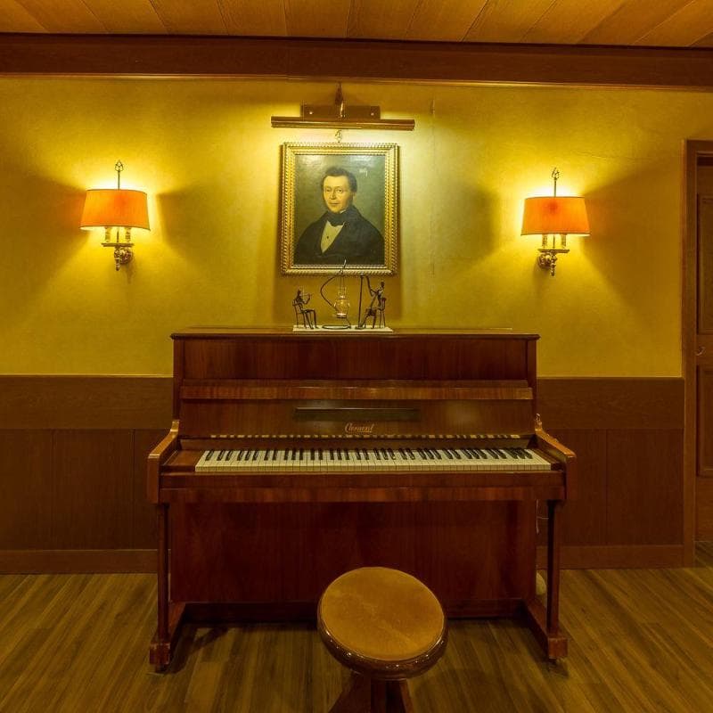 Dominik Alpine City Wellness Hotel - Adults only 4