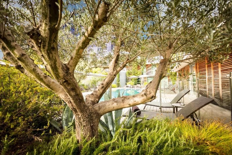 Courtyard Montpellier 4