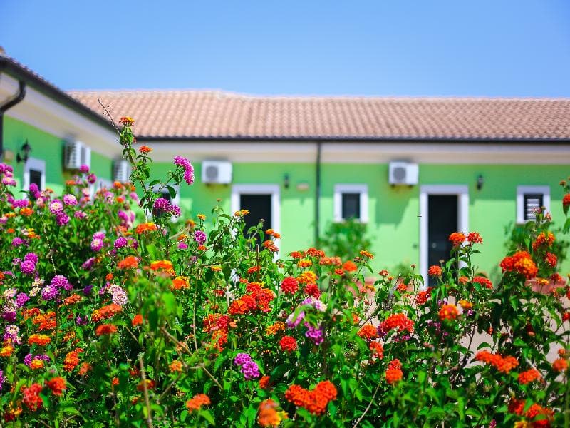 Villaggio Hotel Lido San Giuseppe 5