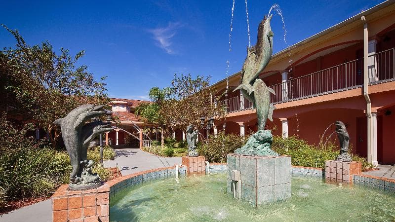 Best Western Wakulla Inn & Suites photo 1