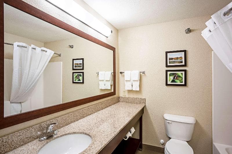 Comfort Inn & Suites Independence 3