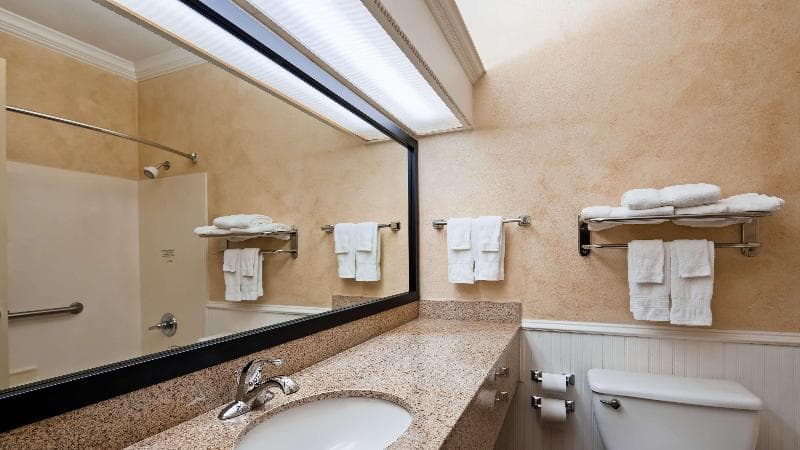 Best Western Dinosaur Valley Inn & Suites 4