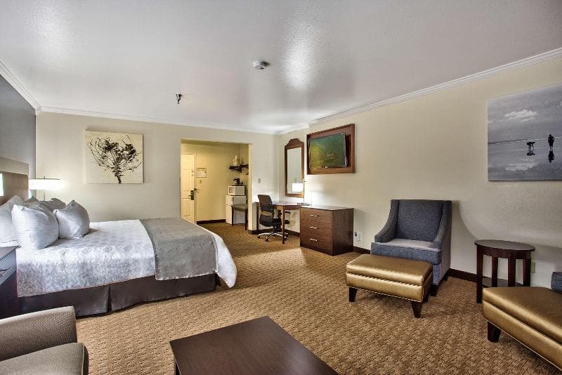Best Western Mountain View Inn 5