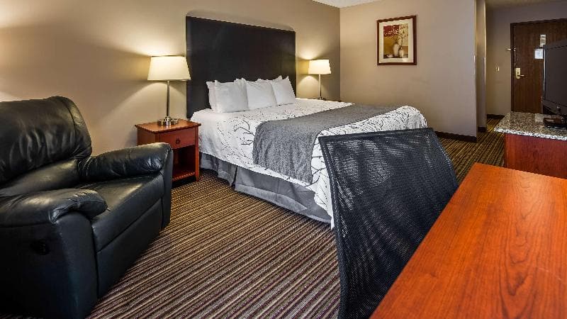 Best Western Park Oasis Inn 3