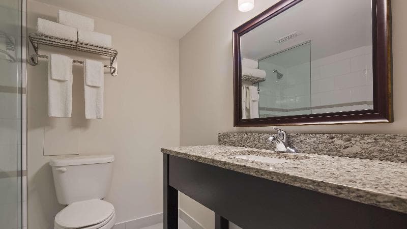 Best Western St Catharines Hotel & Conference Centre 5