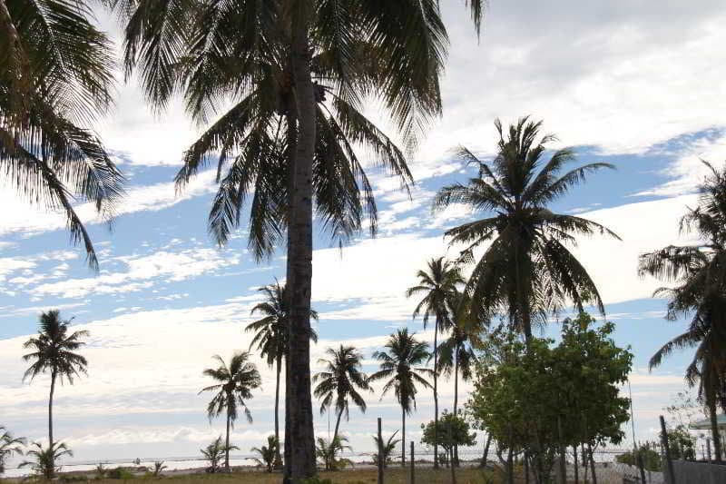 Summer Villa Guesthouse 4