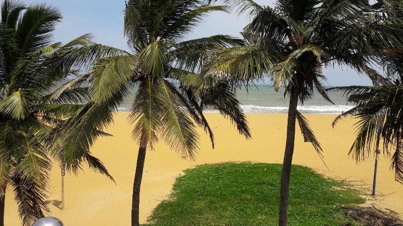 Oasis Beach Resort 5