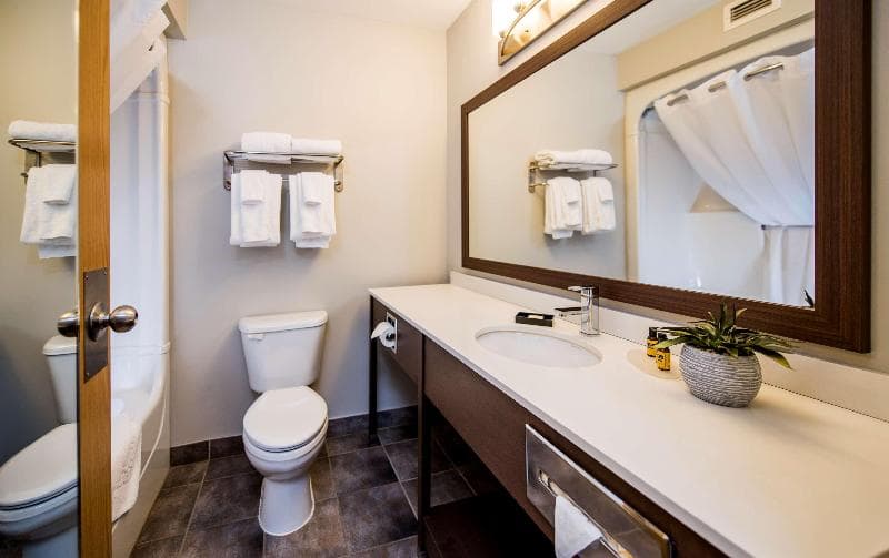 Best Western Plus Moncton 5