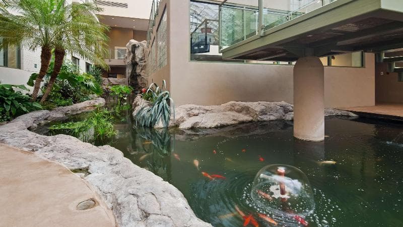 Best Western Plus Lamplighter Inn & Conference Centre 3
