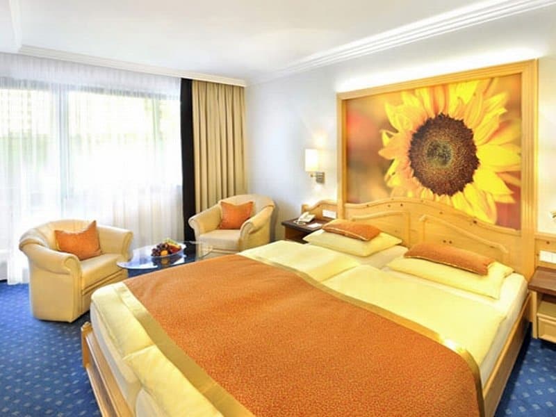 EUROPÄISCHER HOF Aktivhotel & Spa 4