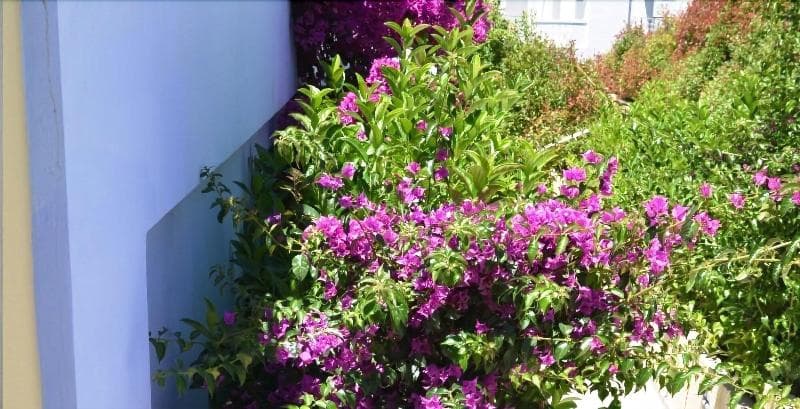 Maredei Ionian Resort photo 1