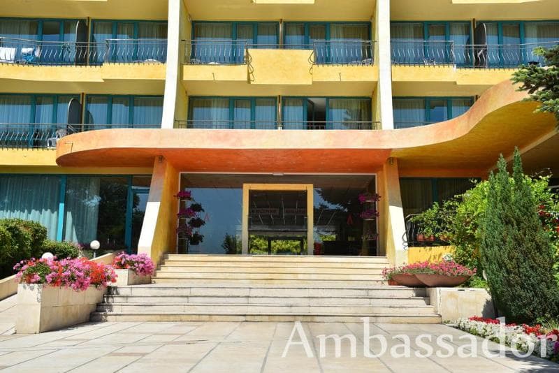 Ambassador 3