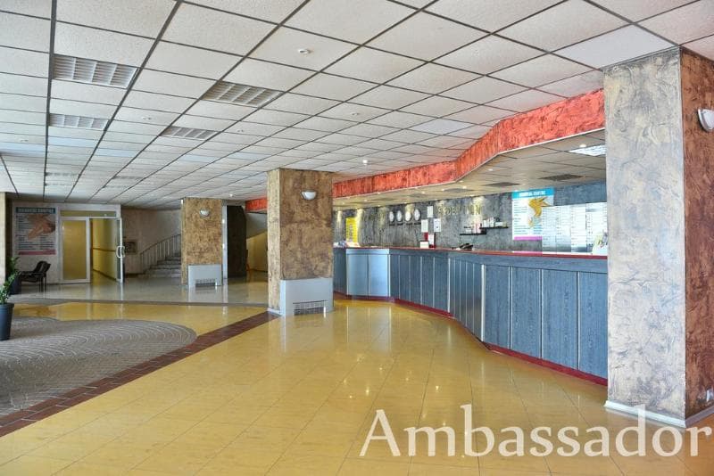 Ambassador 5
