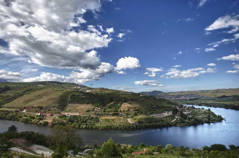 Hotel Delfim Douro 3