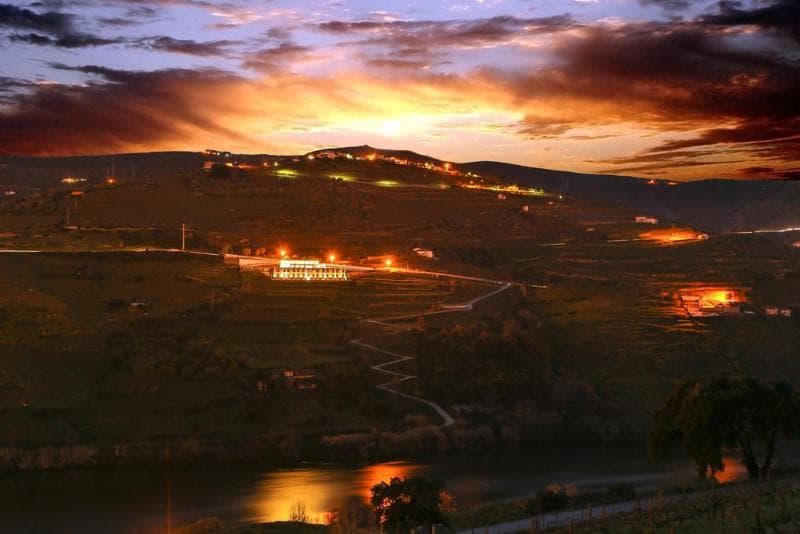 Hotel Delfim Douro 2