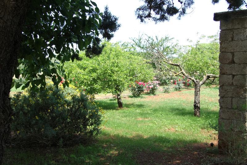 Masseria Cristo 5
