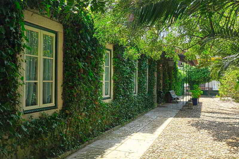 Casa do Foral 2