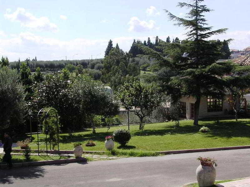 Valle degli Ulivi 3