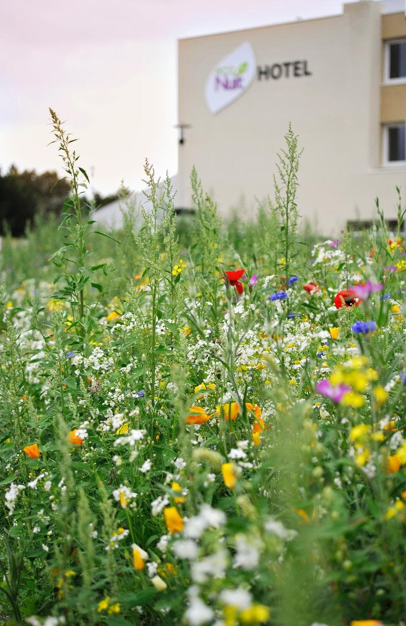 Sure Hotel by Best Western Guerande main