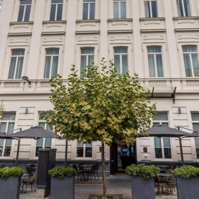 Pillows Grand Hotel Place Rouppe (Ex-Sandton Pillows) photo 1