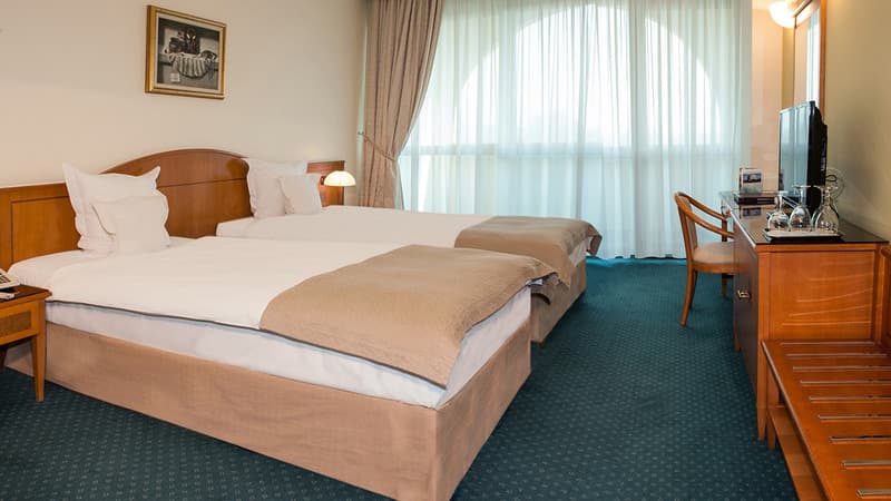Hotel Aleksandar Palace 4