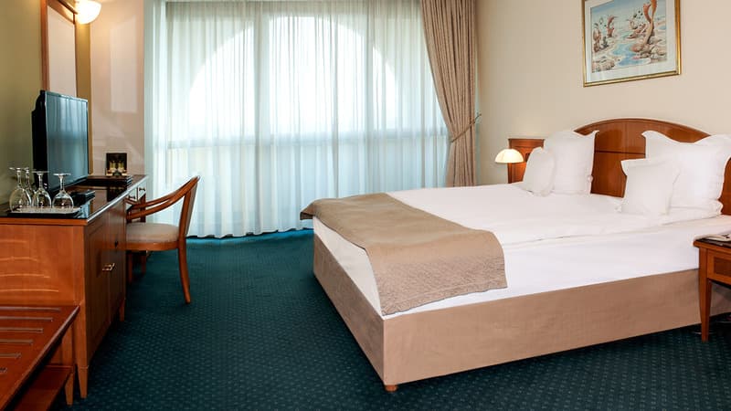Hotel Aleksandar Palace 5