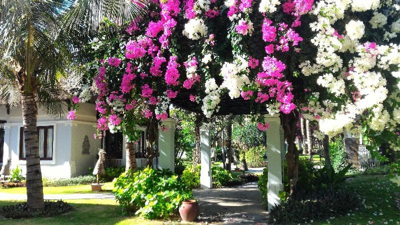 Muine Bay Resort 5