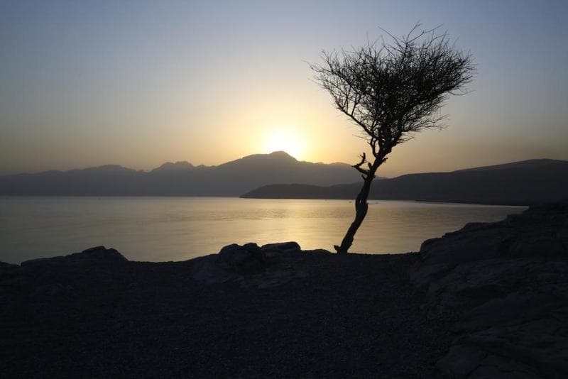 Atana Khasab photo 1