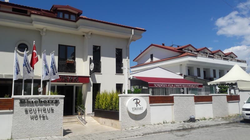 Blueberry Boutique Hotel 3