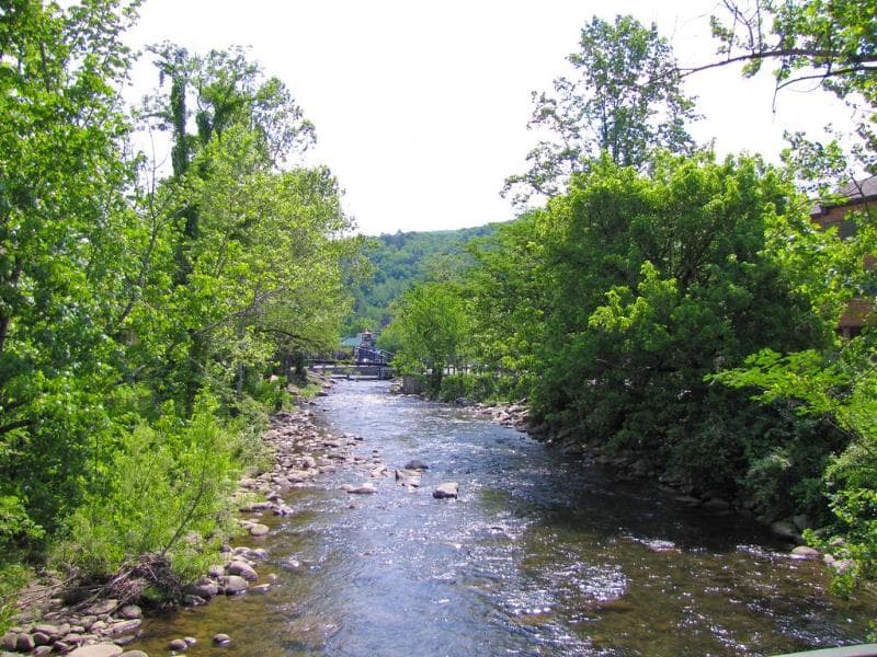 River Terrace Resort & Convention Center 3