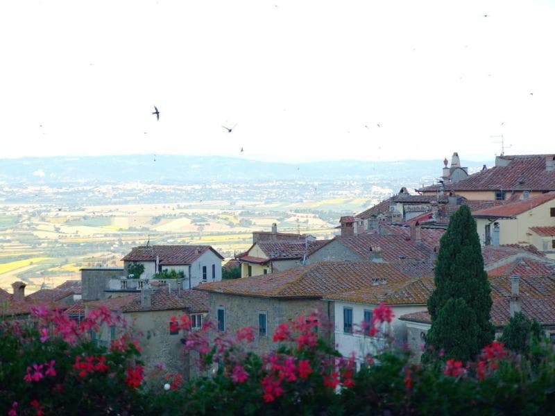 San Luca photo 1