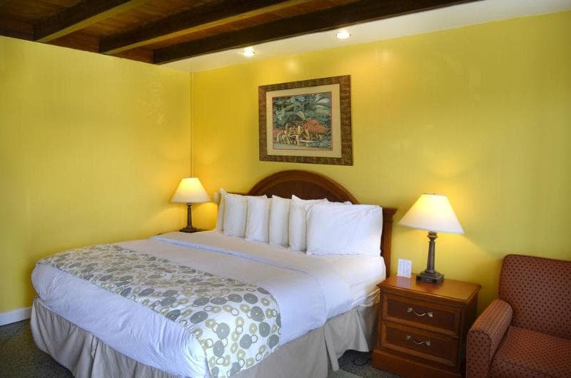 Dream Inn 5