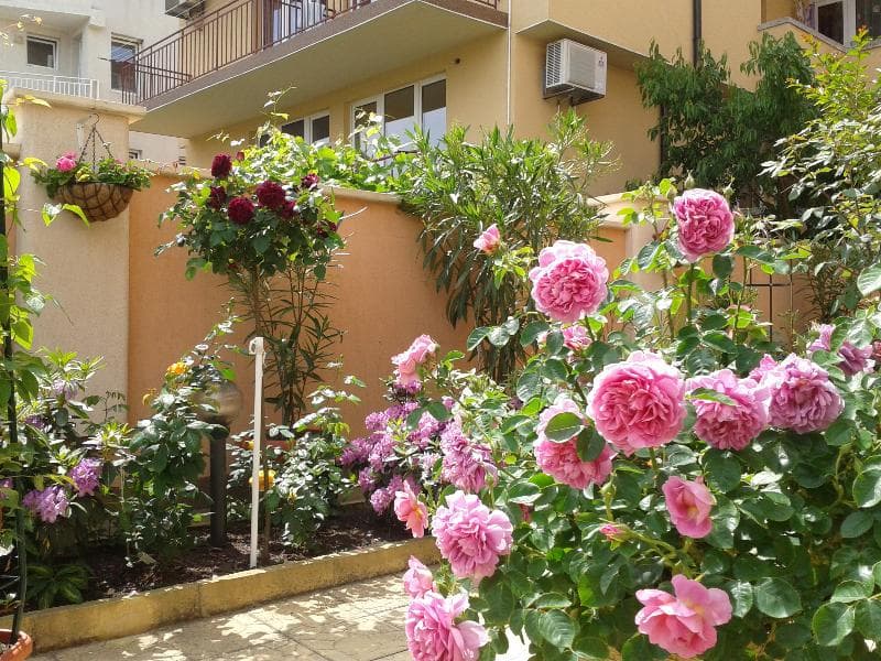 Hotel Chuchulev 3