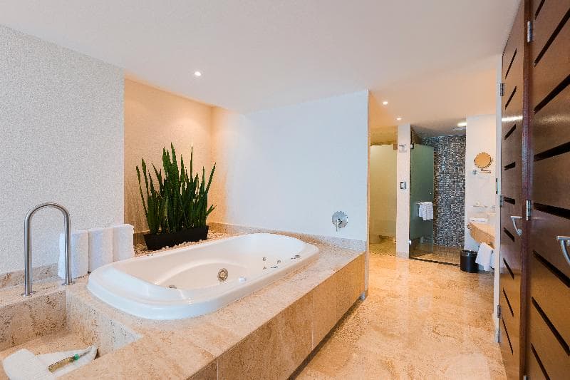 Azul Ixtapa Grand All Suites Spa & Convention Center 5