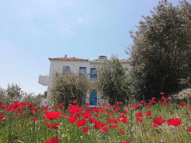 Villa Jota 3