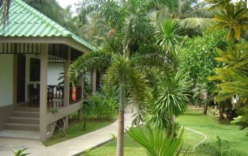 Lamai Inn 99 Bungalows 3