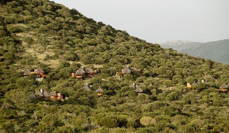 Thanda Safari Private Game Reserve main