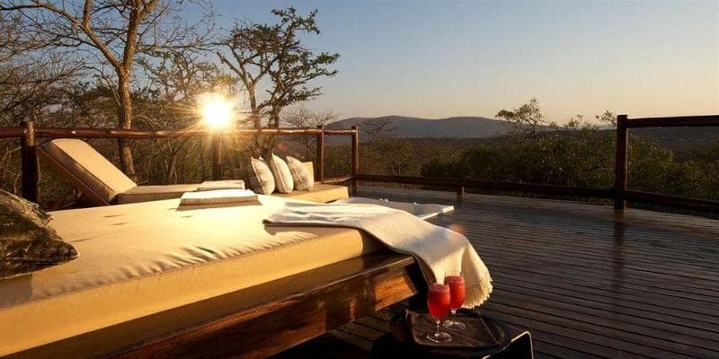 Thanda Safari Private Game Reserve 3