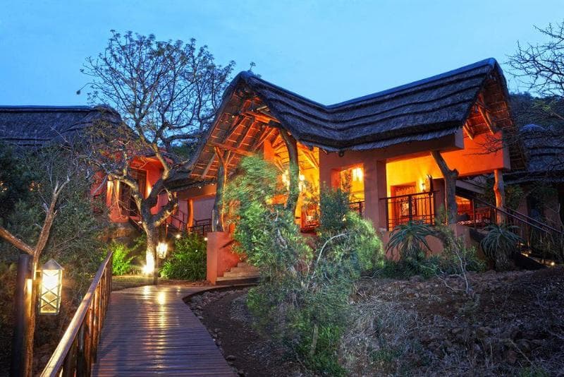 Thanda Safari Private Game Reserve 5