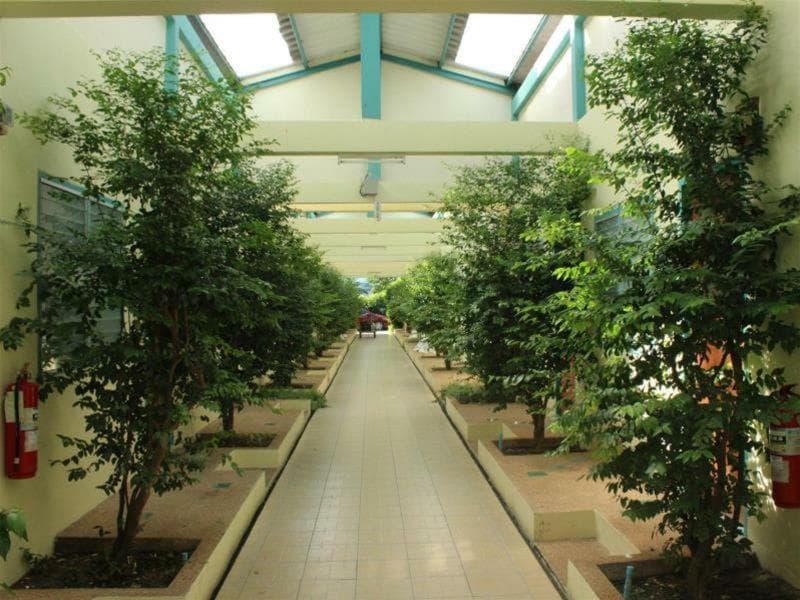 Baantonsai Garden Resort 5